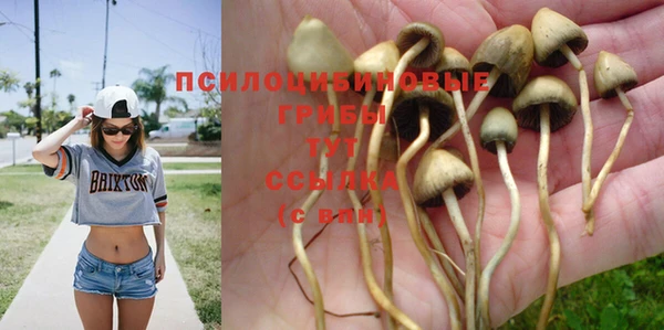 МДПВ Сосновый Бор